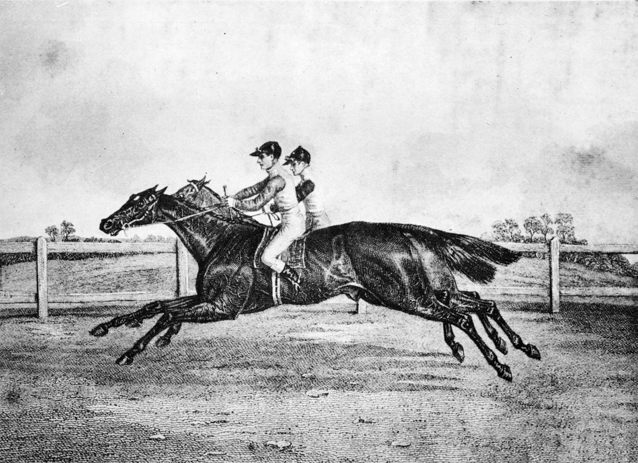 Parità tra Lanercost e Beeswing, 1835-1850, 1911 da Unbekannt