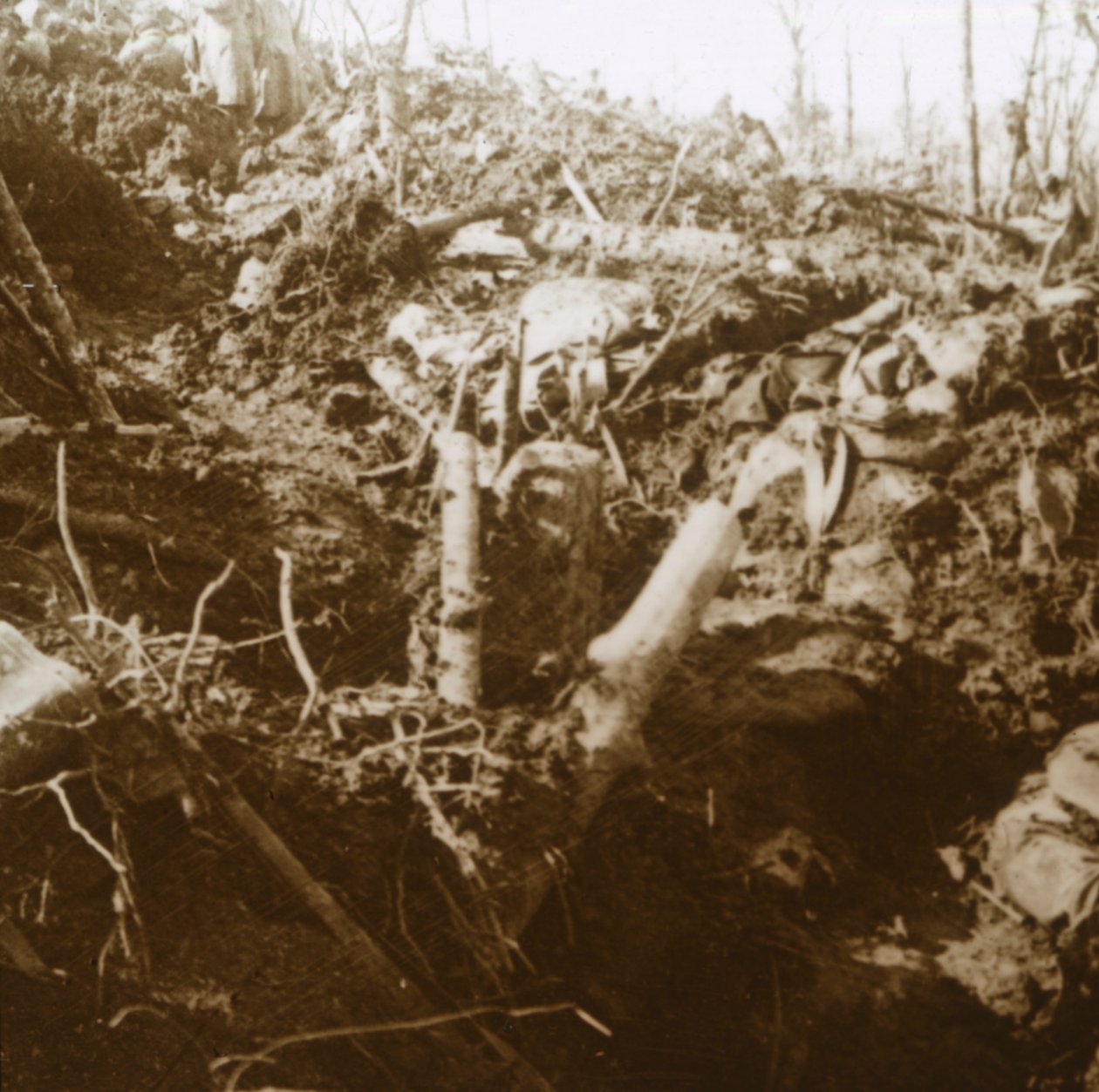 Rifugio distrutto, Les Éparges, Francia settentrionale, 1915 da Unbekannt