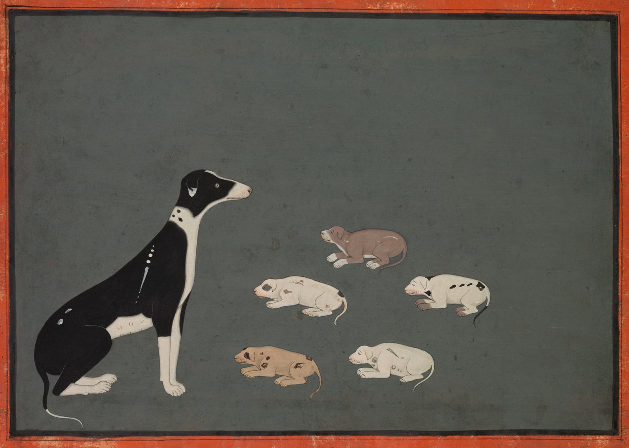 Cane con cuccioli, c. 1780 da Unbekannt