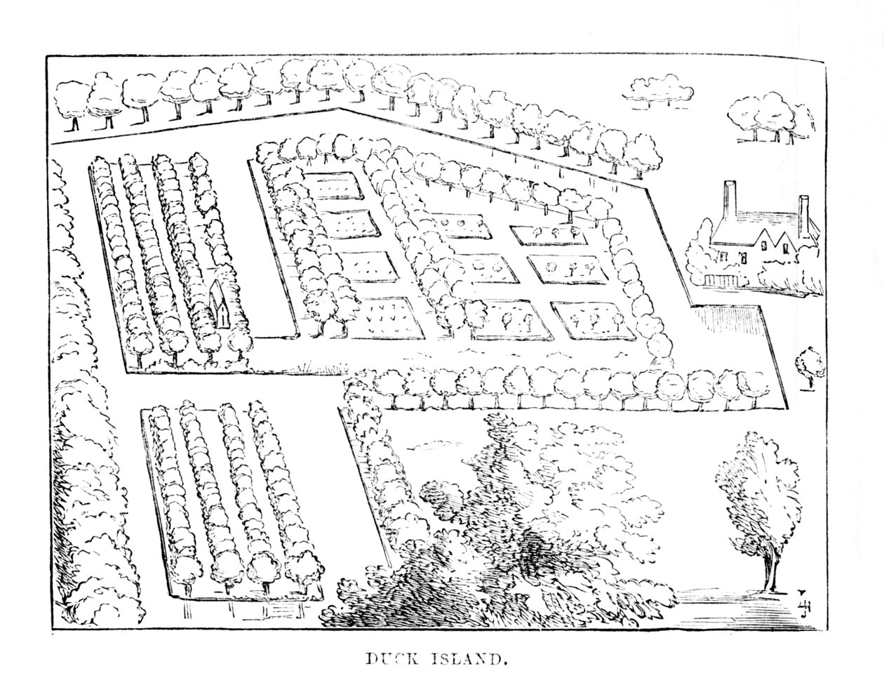 Duck Island, c1870 da Unbekannt