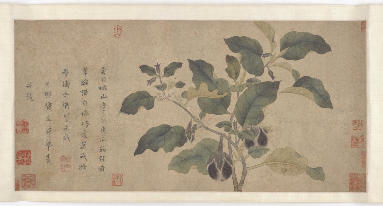 Melanzana, dinastia Yuan o Ming, XIV secolo da Unbekannt
