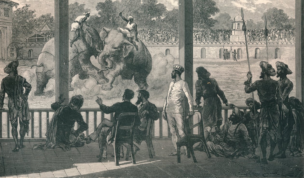 Combattimento di elefanti a Baroda, 1896 da Unbekannt