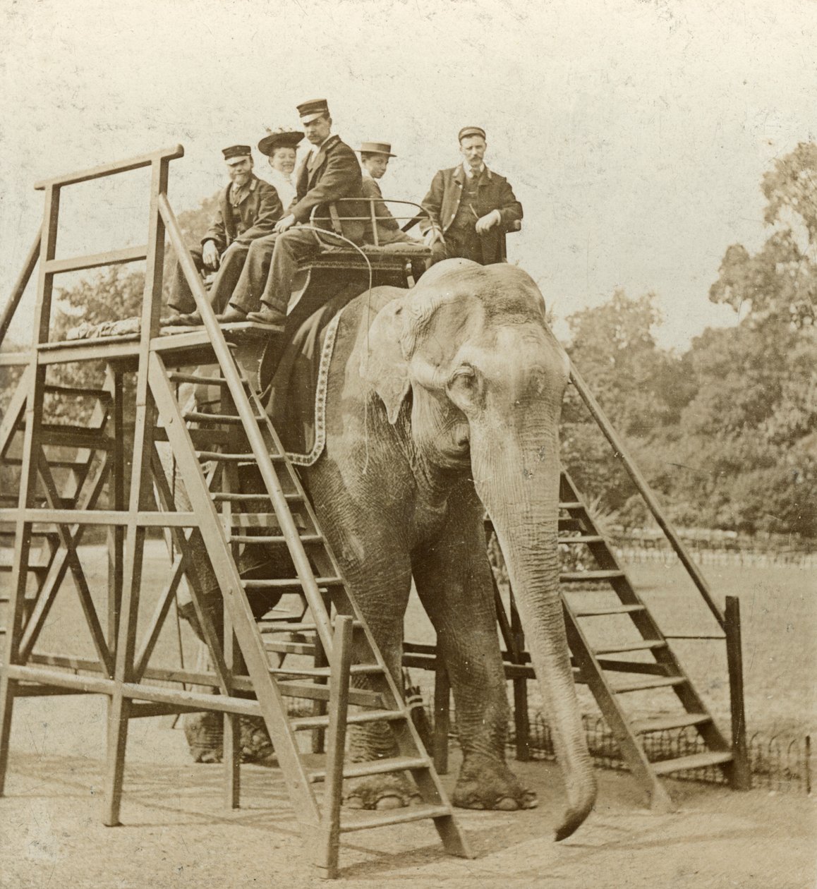 Giro in elefante da Unbekannt