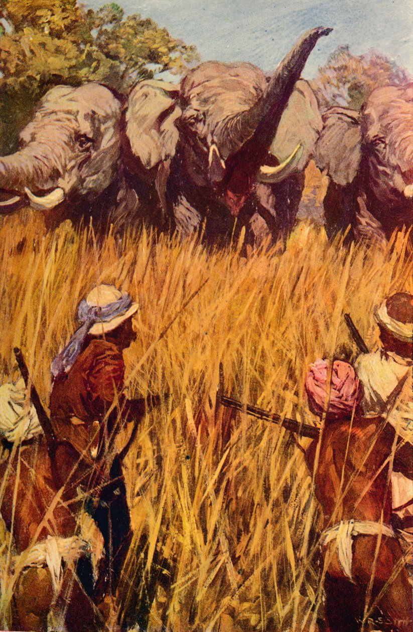 Elefanti in caccia, c1850 c1912 da Unbekannt
