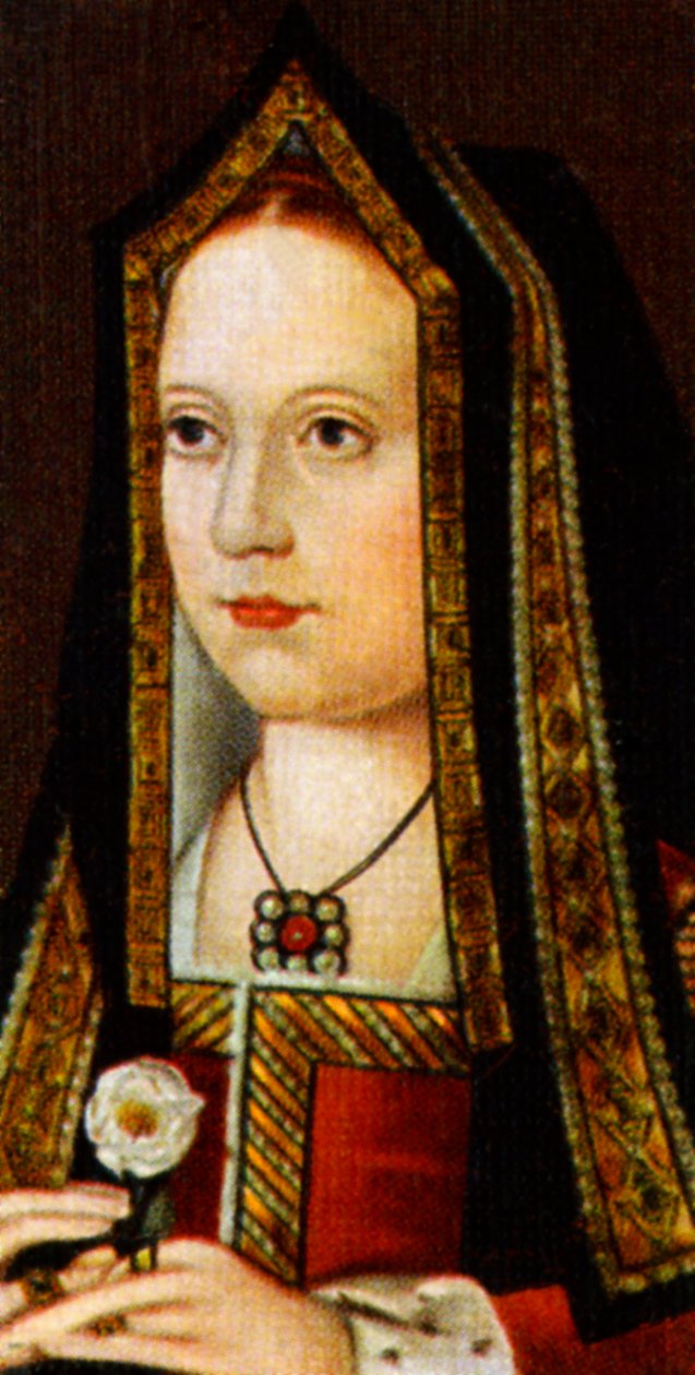 Elisabetta di York da Unbekannt
