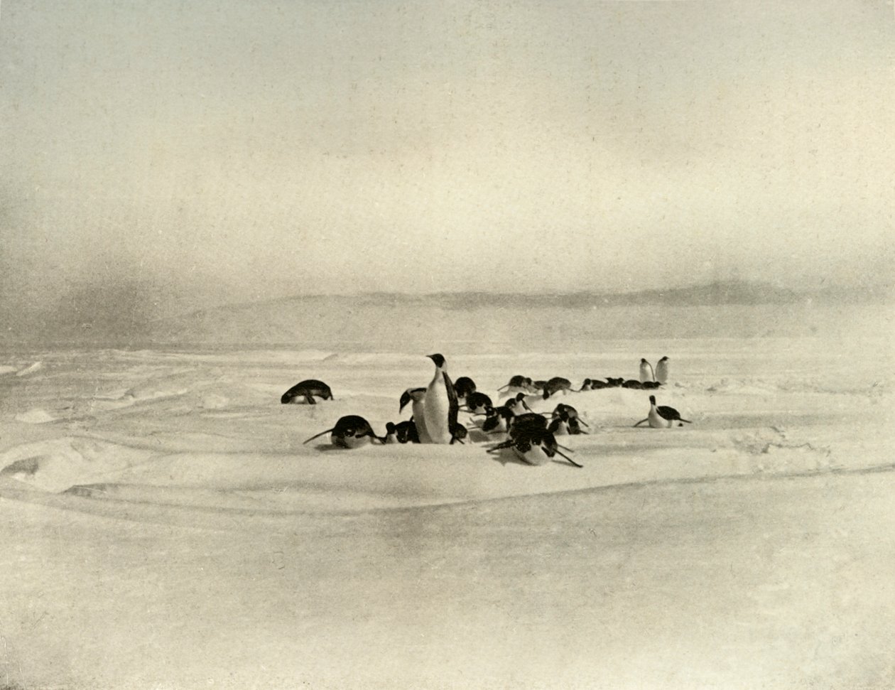 Imperatori sul toboggan, c1908, 1909 da Unbekannt