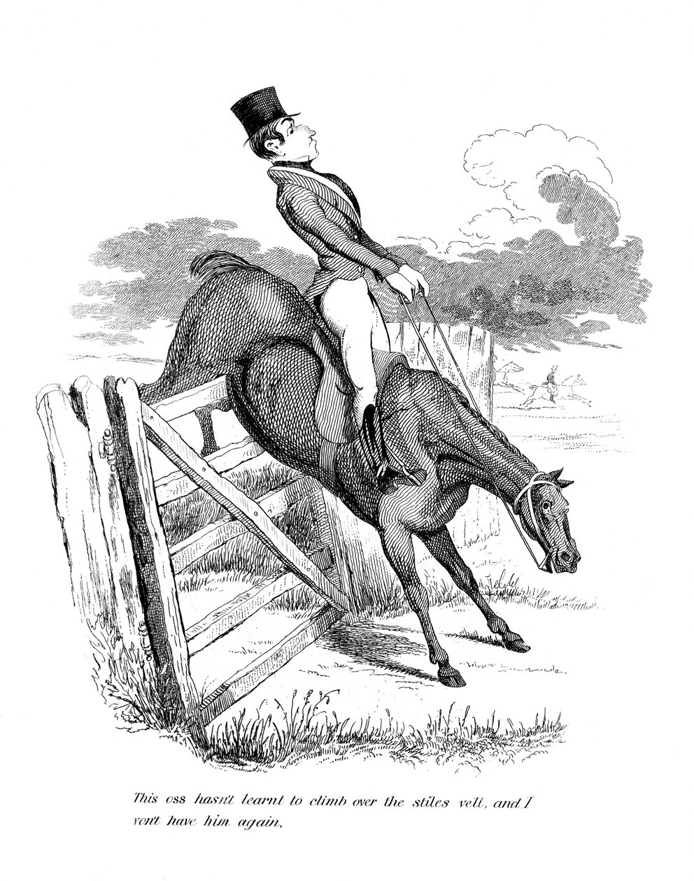 Cartone equestre, XIX secolo da Unbekannt
