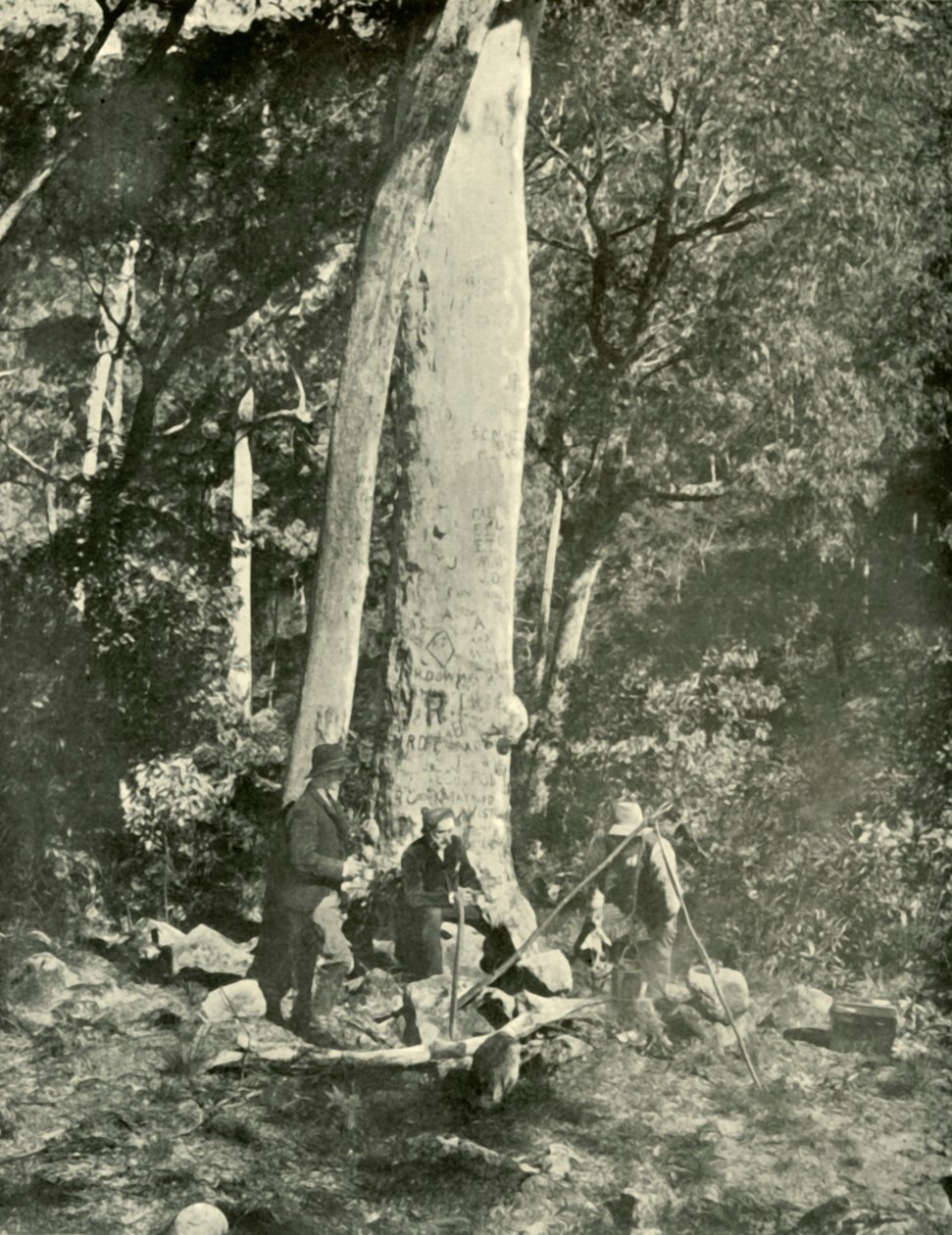 Cascate di Eurobin, Montagne di Buffalo, 1901 da Unbekannt