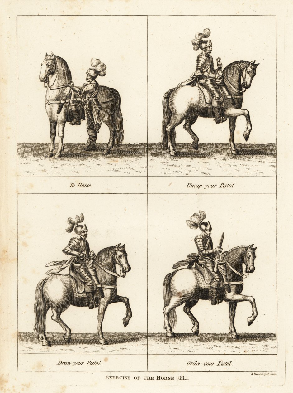 Esercizio del cavallo da Unbekannt