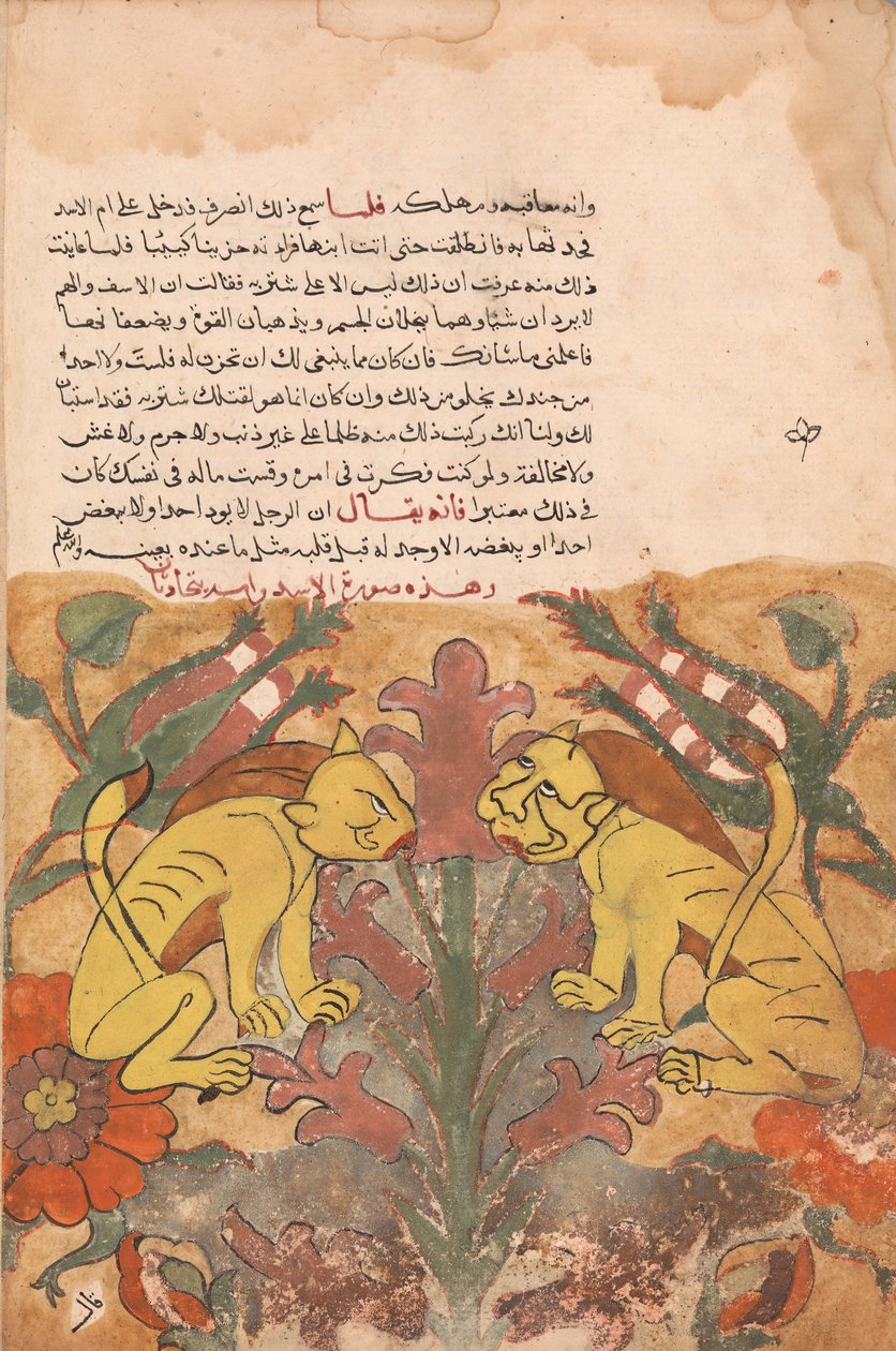 Folio da un Kalila wa Dimna, 18° secolo da Unbekannt