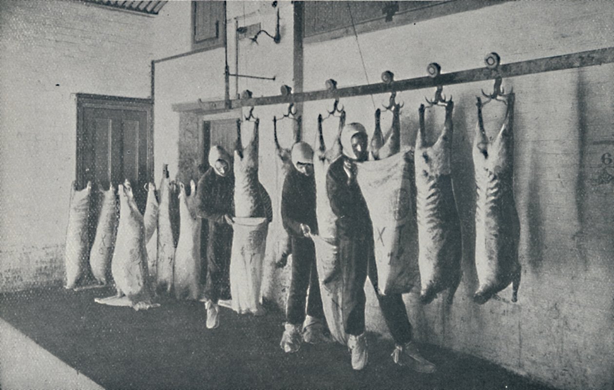 Carne Congelata, 1910 da Unbekannt