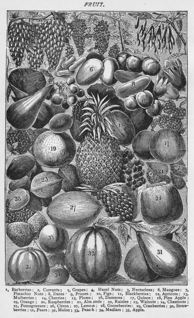 Frutta, 1907 da Unbekannt