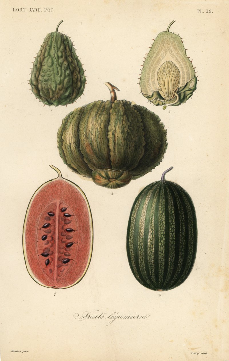 Frutti, fruits legumieres da Unbekannt