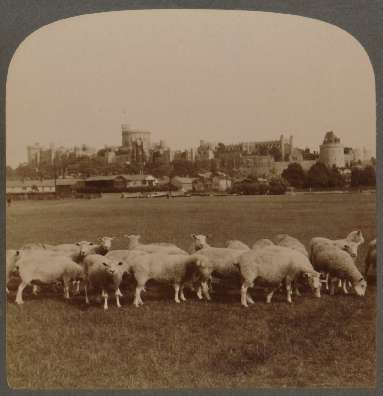Vista generale del Castello di Windsor, Inghilterra, 1896 da Unbekannt