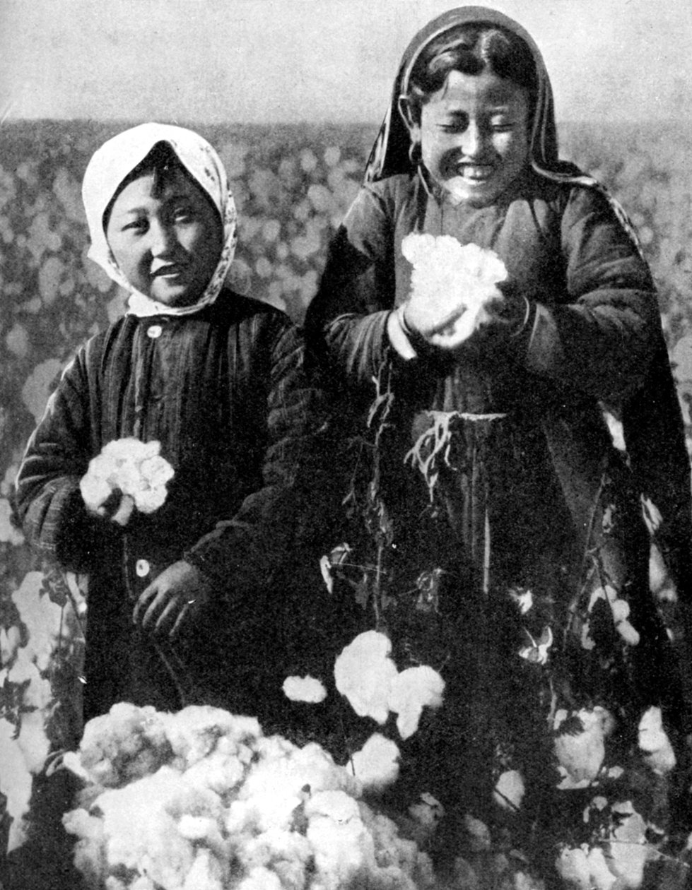 Ragazze in un campo di cotone, Kazakistan da Unbekannt