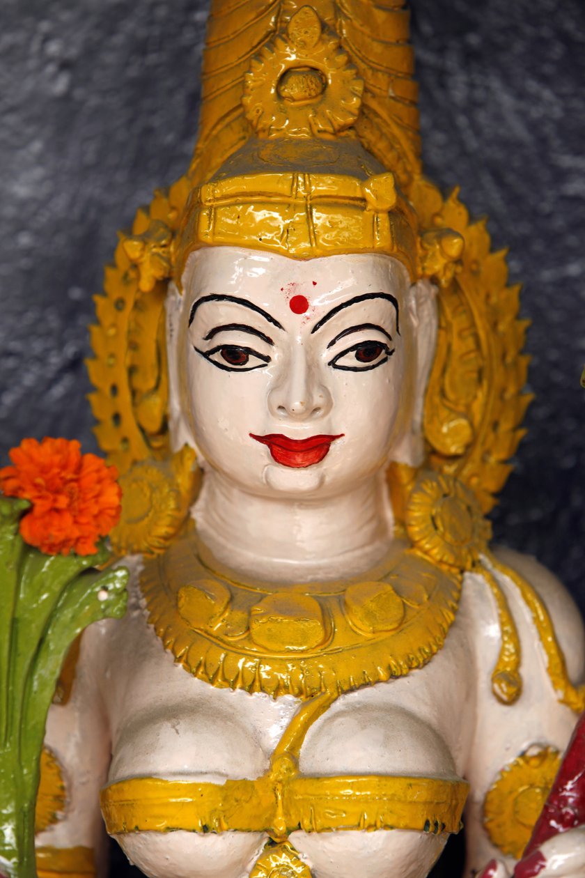Statua della dea in un tempio di Haridwar, India da Unbekannt