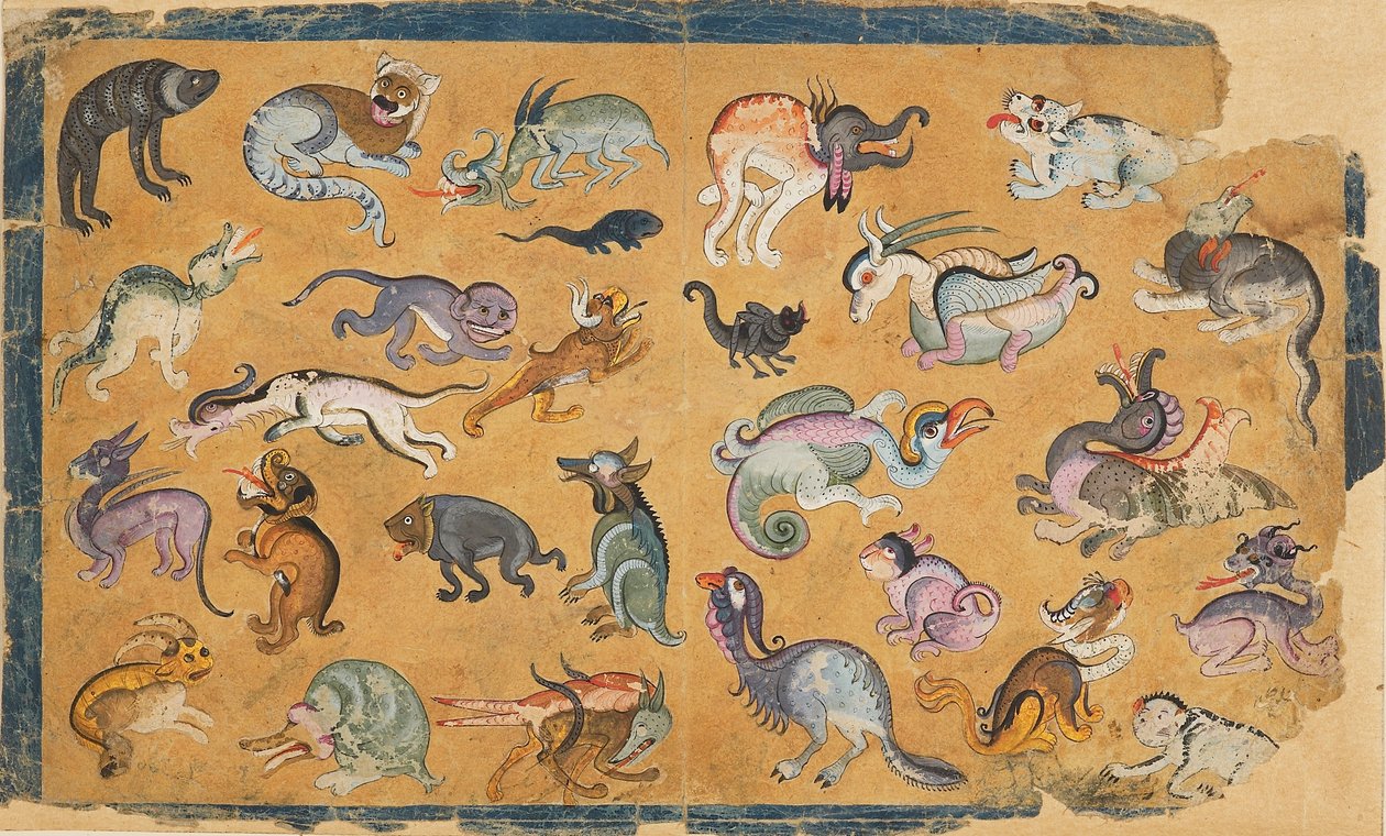 Animali grotteschi, XVIII-XIX secolo da Unbekannt