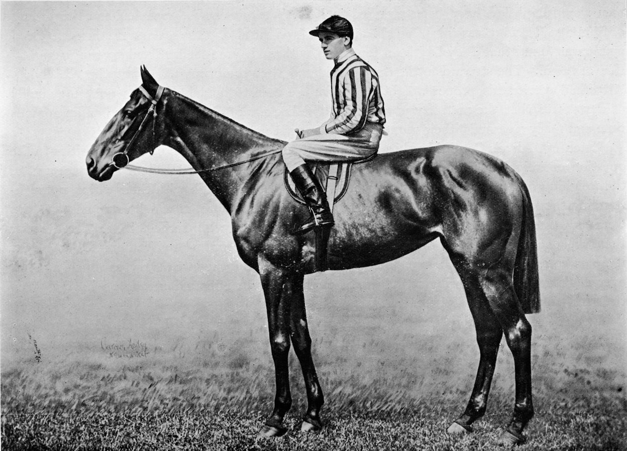 Orgoglio di Hackler, c1860, 1911 da Unbekannt