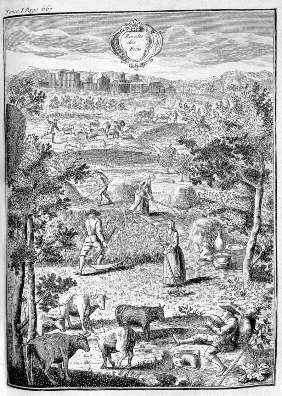 Raccolta del fieno, 1775 da Unbekannt