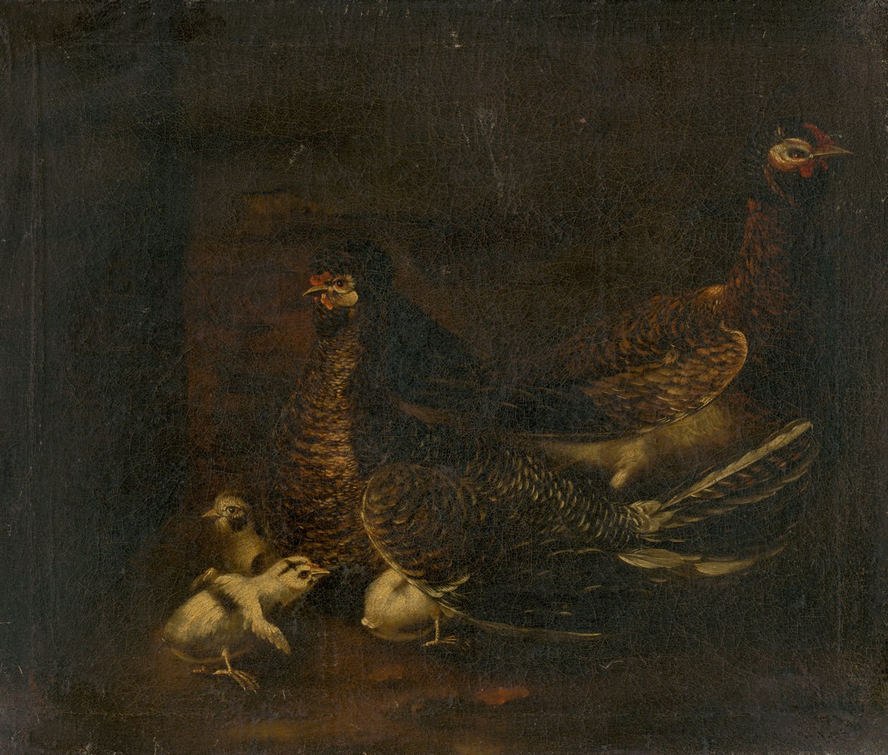 Gallina con Pulcini da Unbekannt