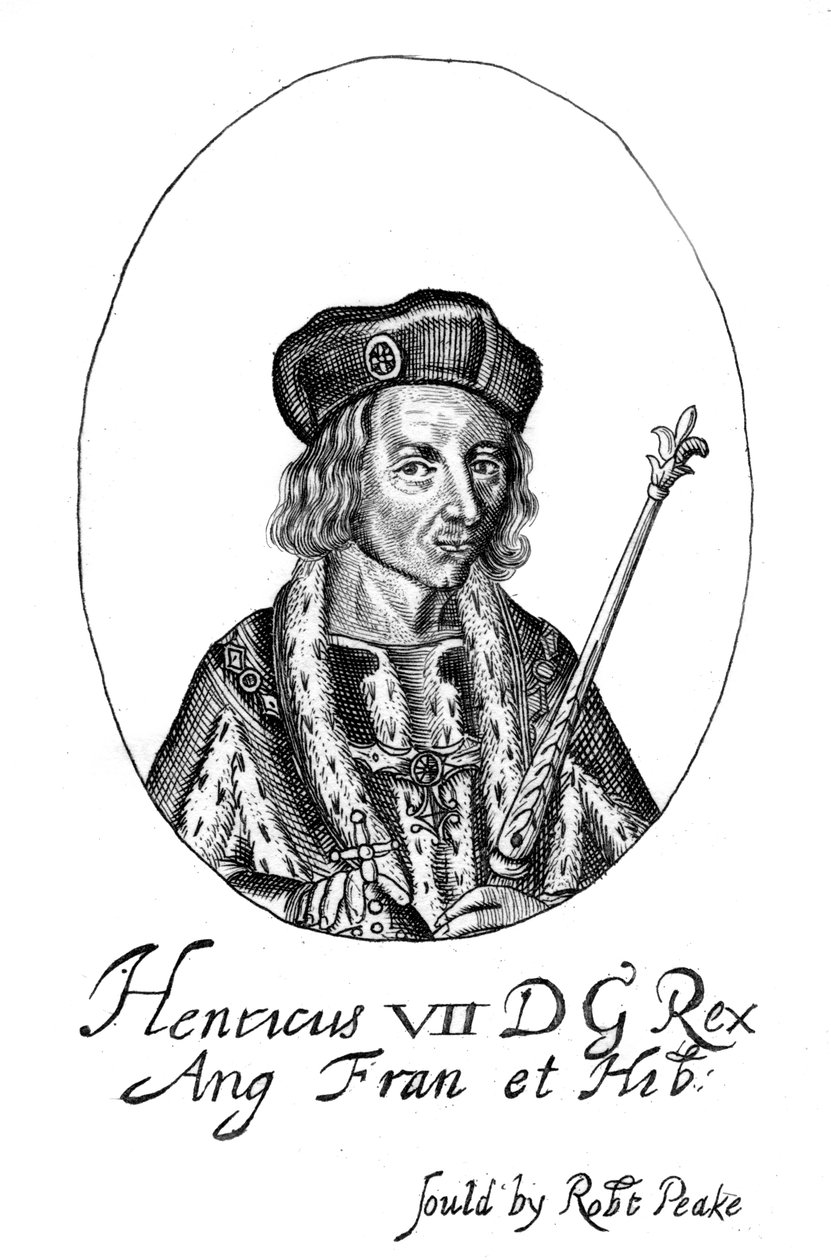 Enrico VII d