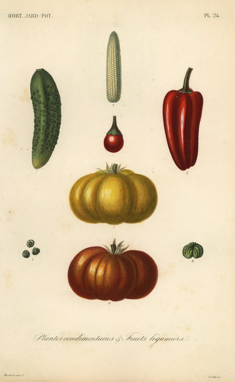Erbe e verdure da Unbekannt