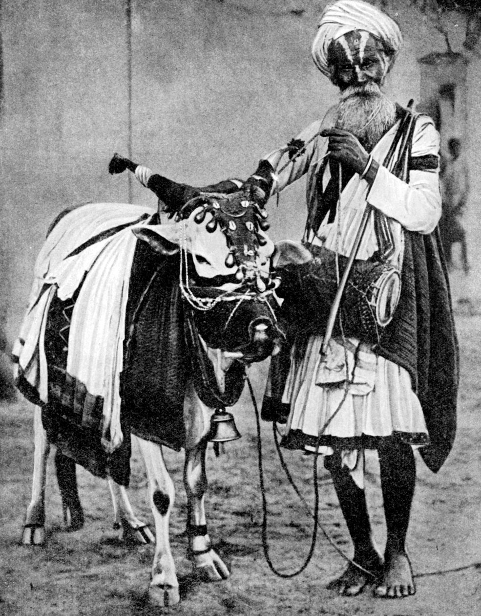 Mucca indù con mucca sacra, India, 1936 da Unbekannt