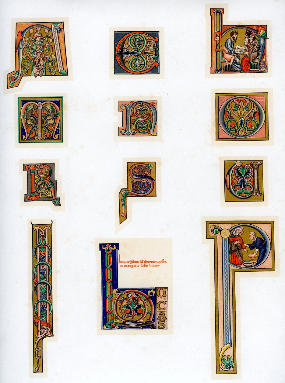 Lettere iniziali illuminate, XIII secolo da Unbekannt
