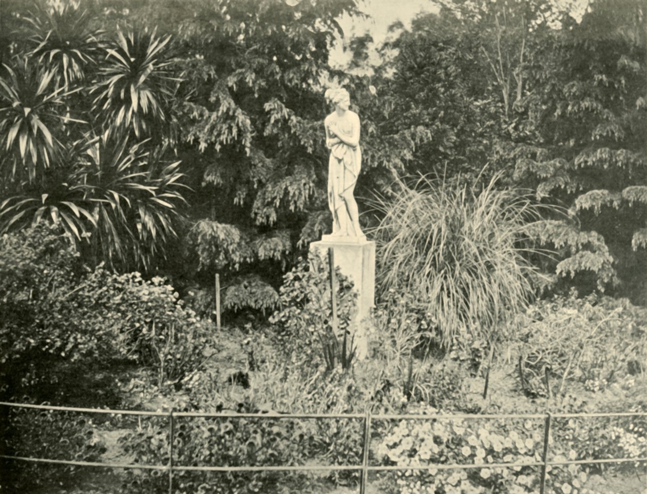 Nei Fitzroy Gardens, Melbourne, 1901 da Unbekannt