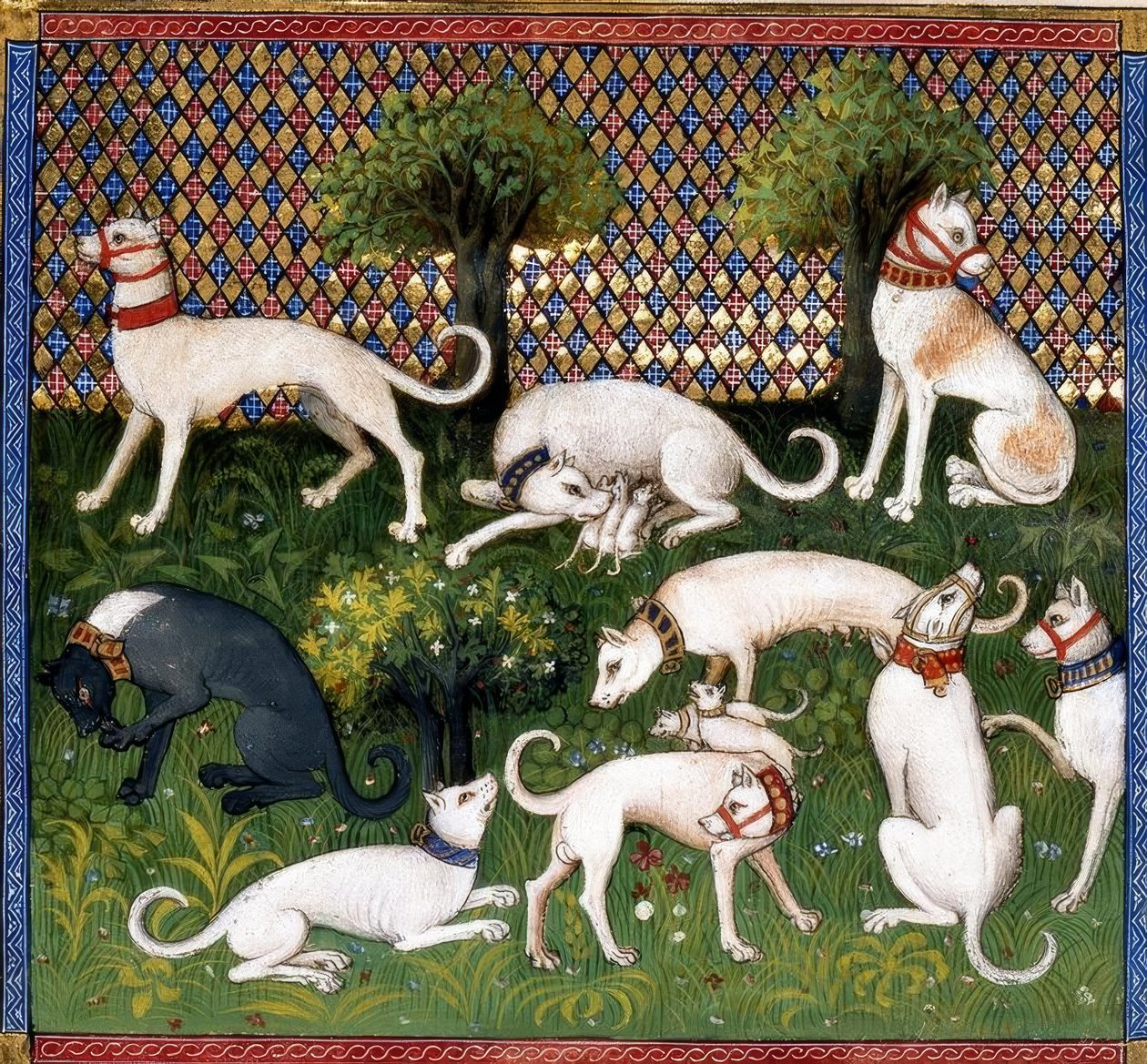 Cani da caccia (Alan) / Libro della caccia da Unbekannt