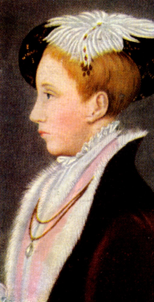Re Edoardo VI da Unbekannt