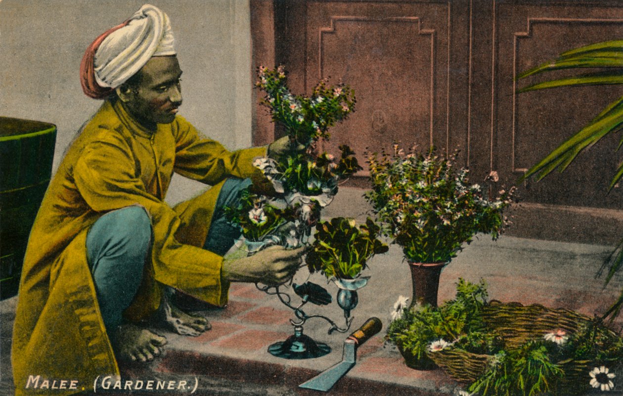 Giardiniere Malee, c1900 da Unbekannt