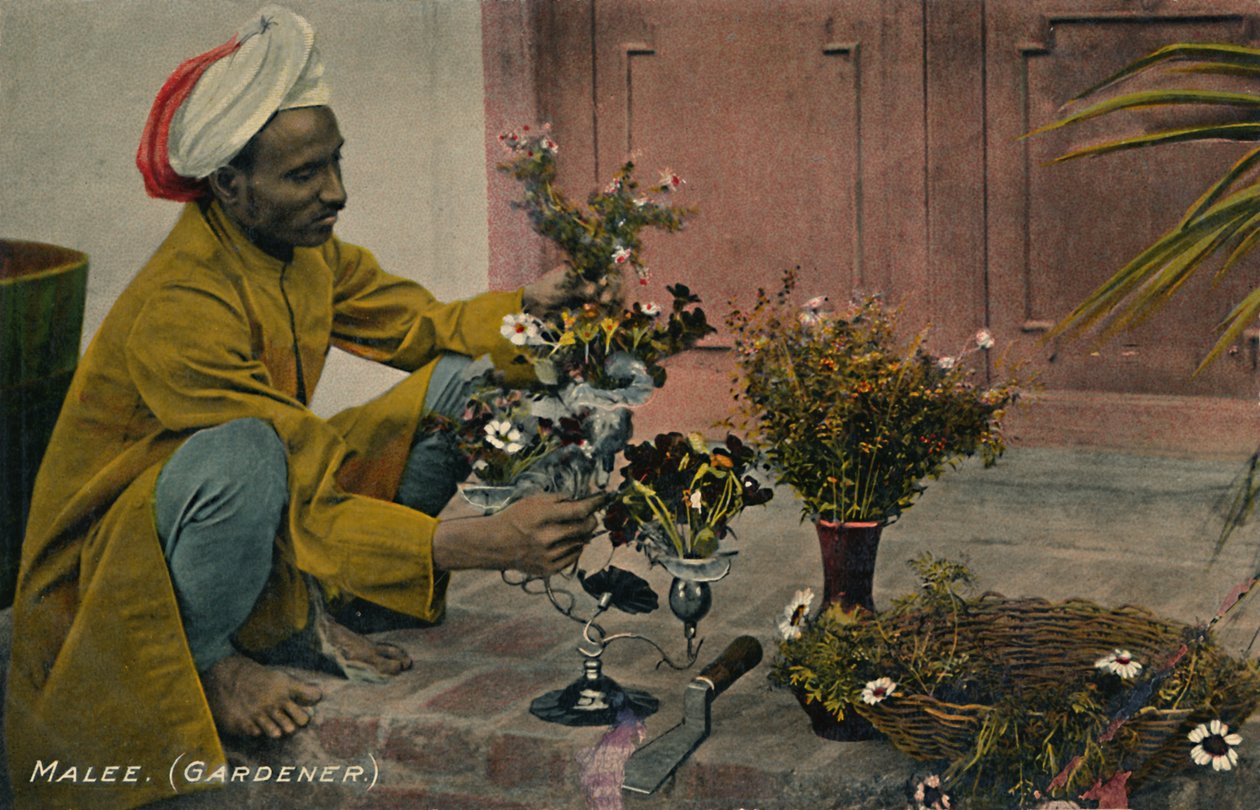 Giardiniere, c1910 da Unbekannt