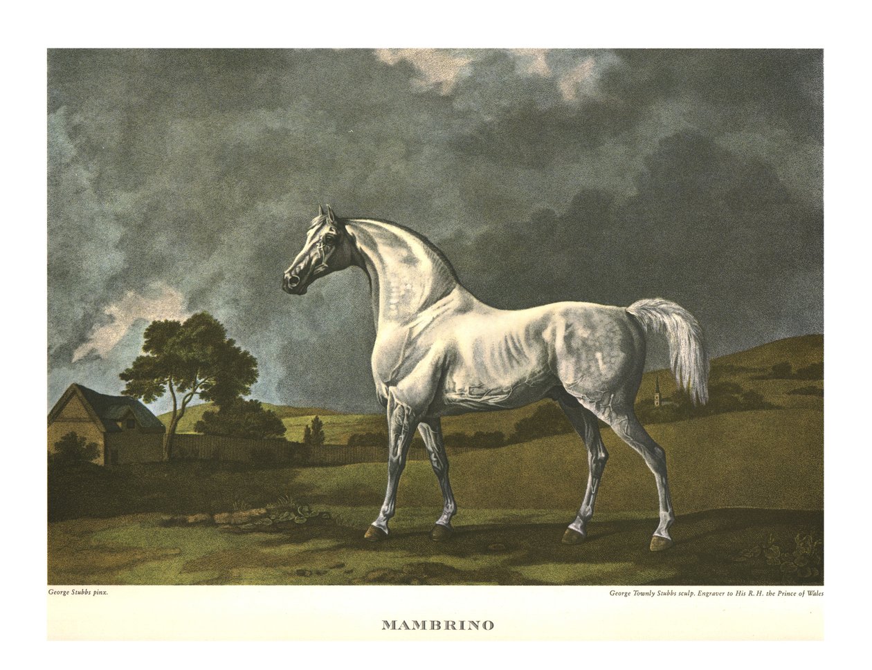 Mambrino, c1779, c1955 da Unbekannt