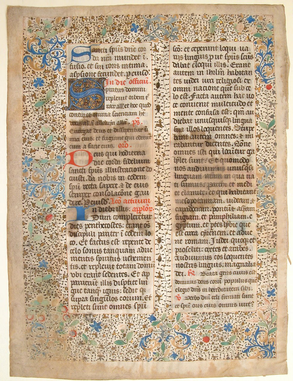 Foglio di manoscritto da un messale da Unbekannt