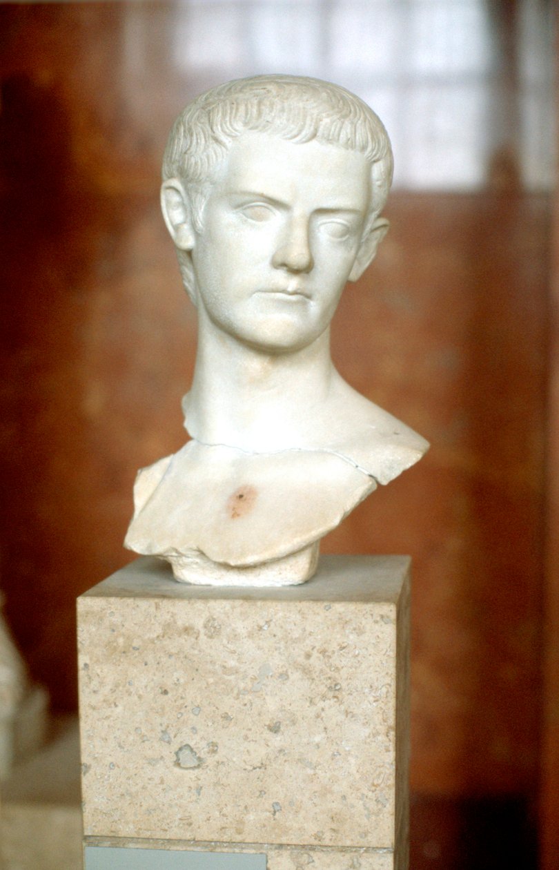 Busto in marmo dell