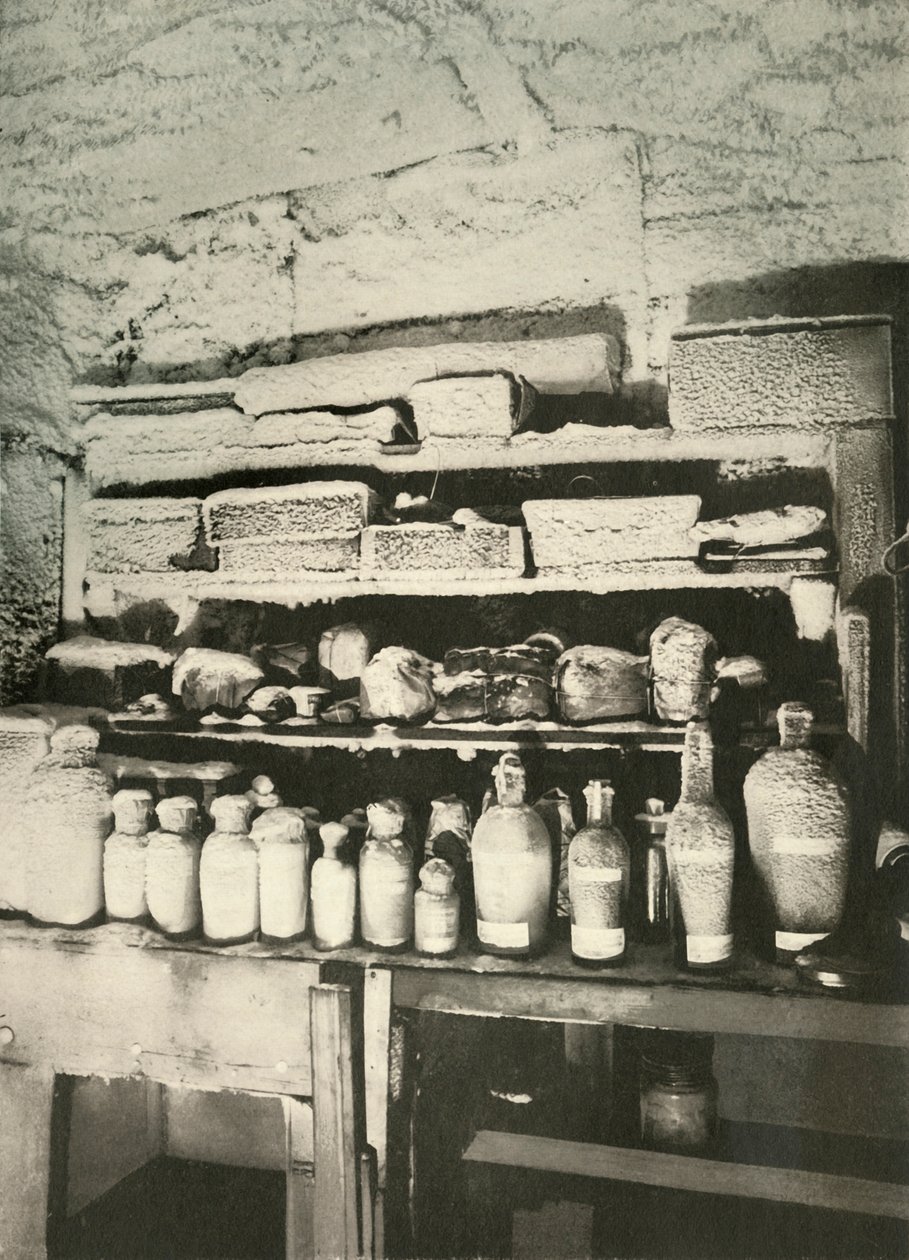 Laboratorio chimico di Mawson da Unbekannt