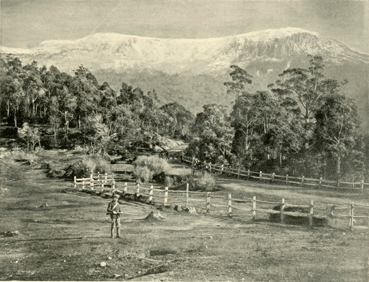 Monte Wellington, dalla Huon Road da Unbekannt