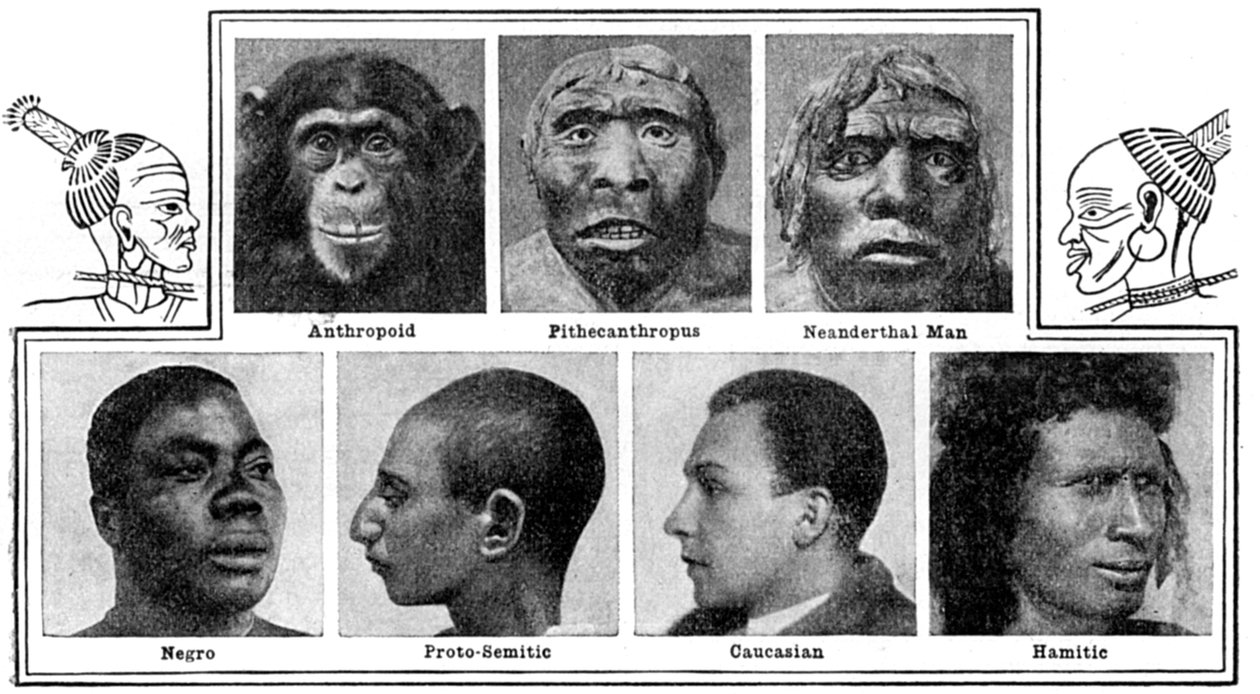 Progetti evolutivi della natura nei nasi, 1922 da Unbekannt