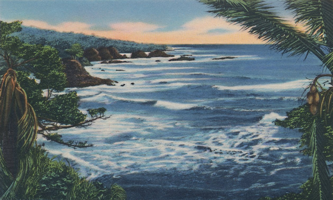 Costa Nord, Trinidad, B.W.I., c1940s da Unbekannt