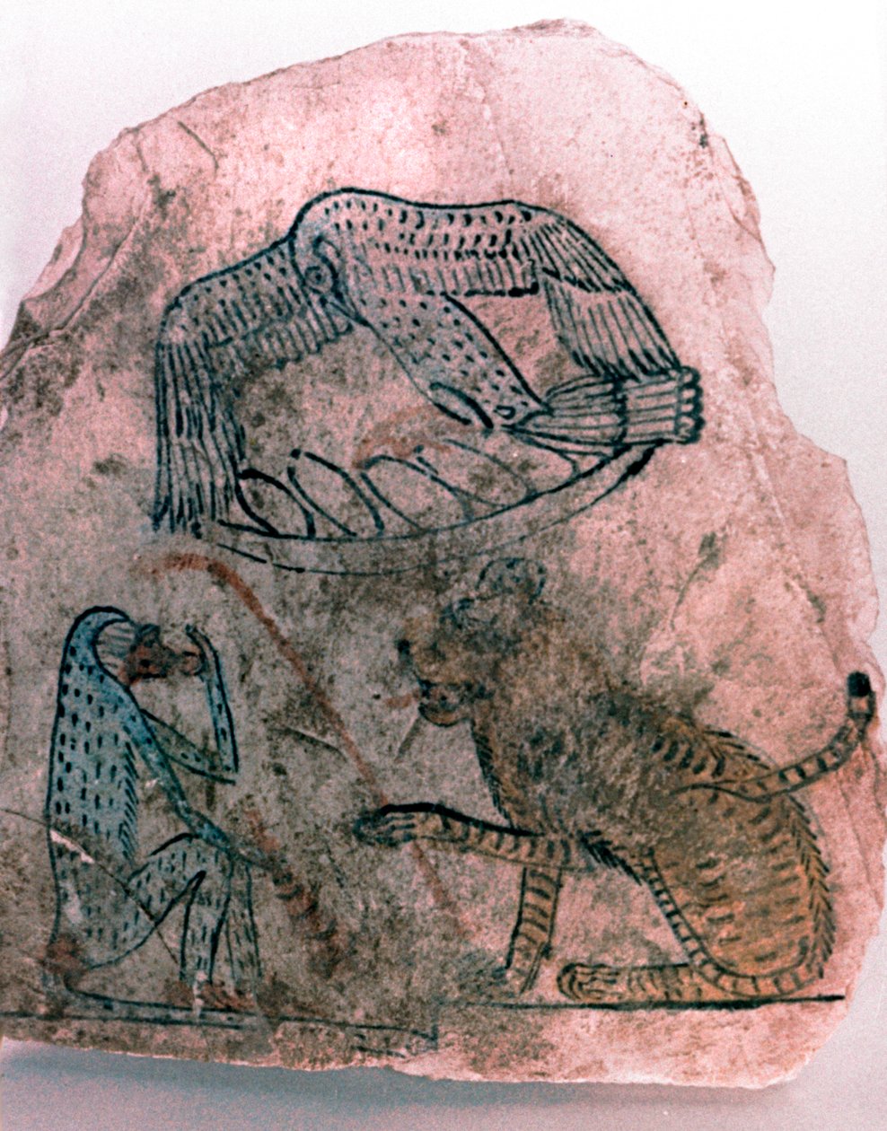 Frammento di ostracon, ghepardo, uccello e scimmia, Egitto da Unbekannt