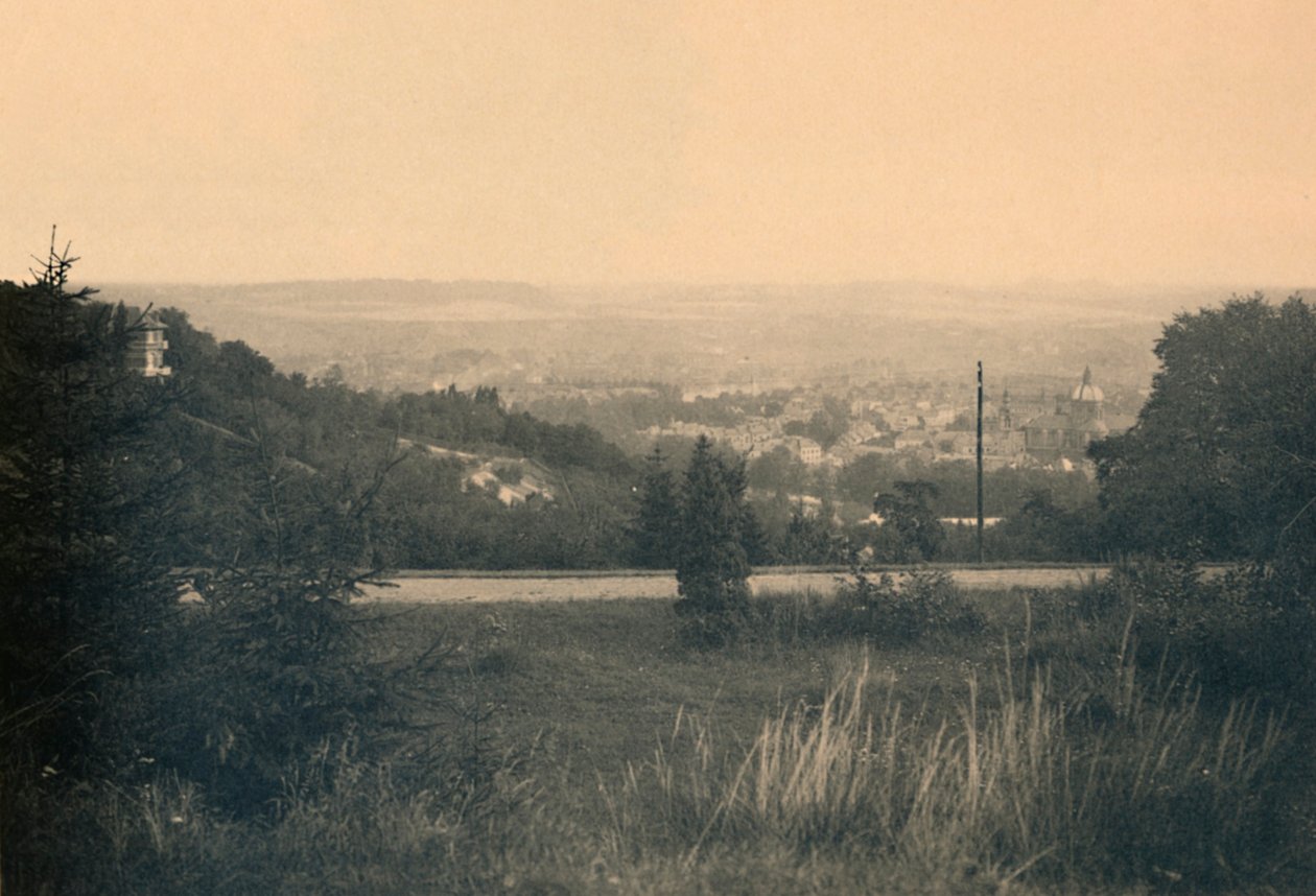 Panorama preso dal Châlet Forestier da Unbekannt