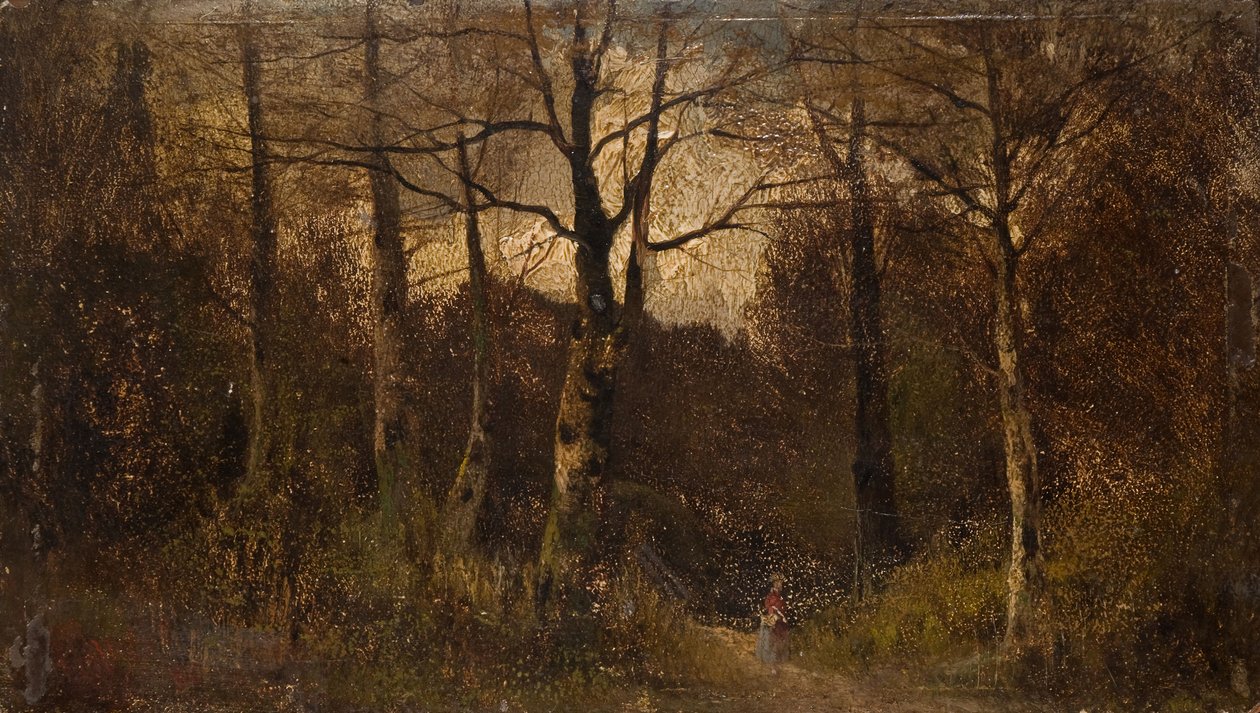 Sentiero nel Bosco da Unbekannt