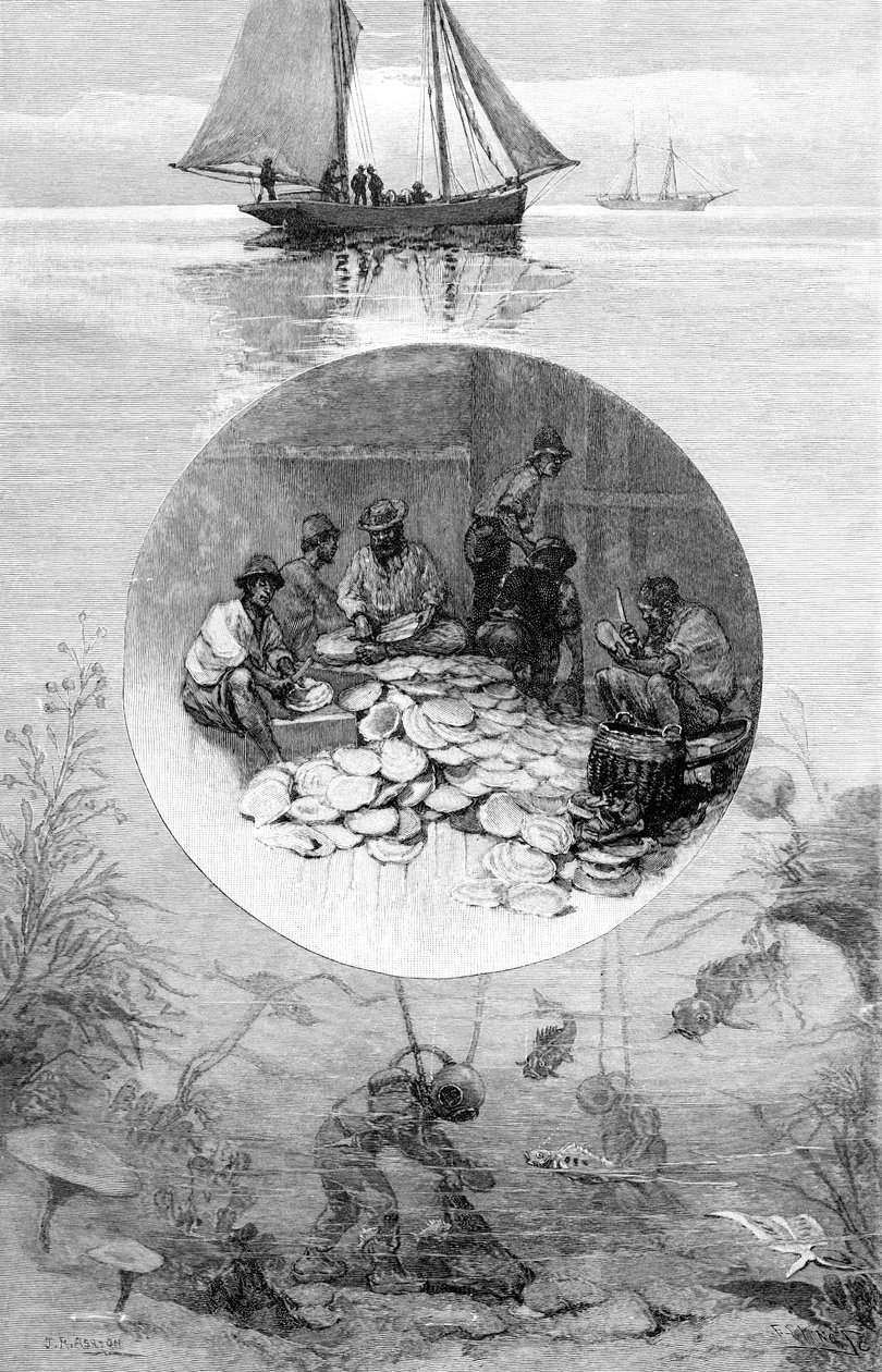 Pesca delle perle, Stretto di Torres, Australia, 1886 da Unbekannt