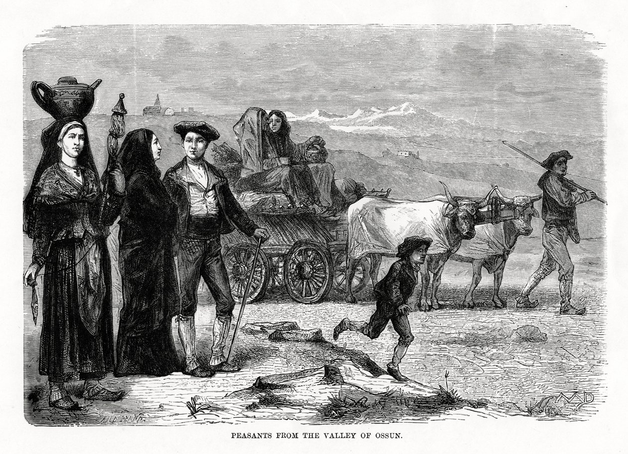 Contadini della valle di Ossun, Francia, 1879 da Unbekannt