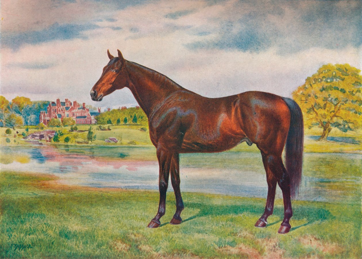 Cachi, c1905 c1910 da Unbekannt