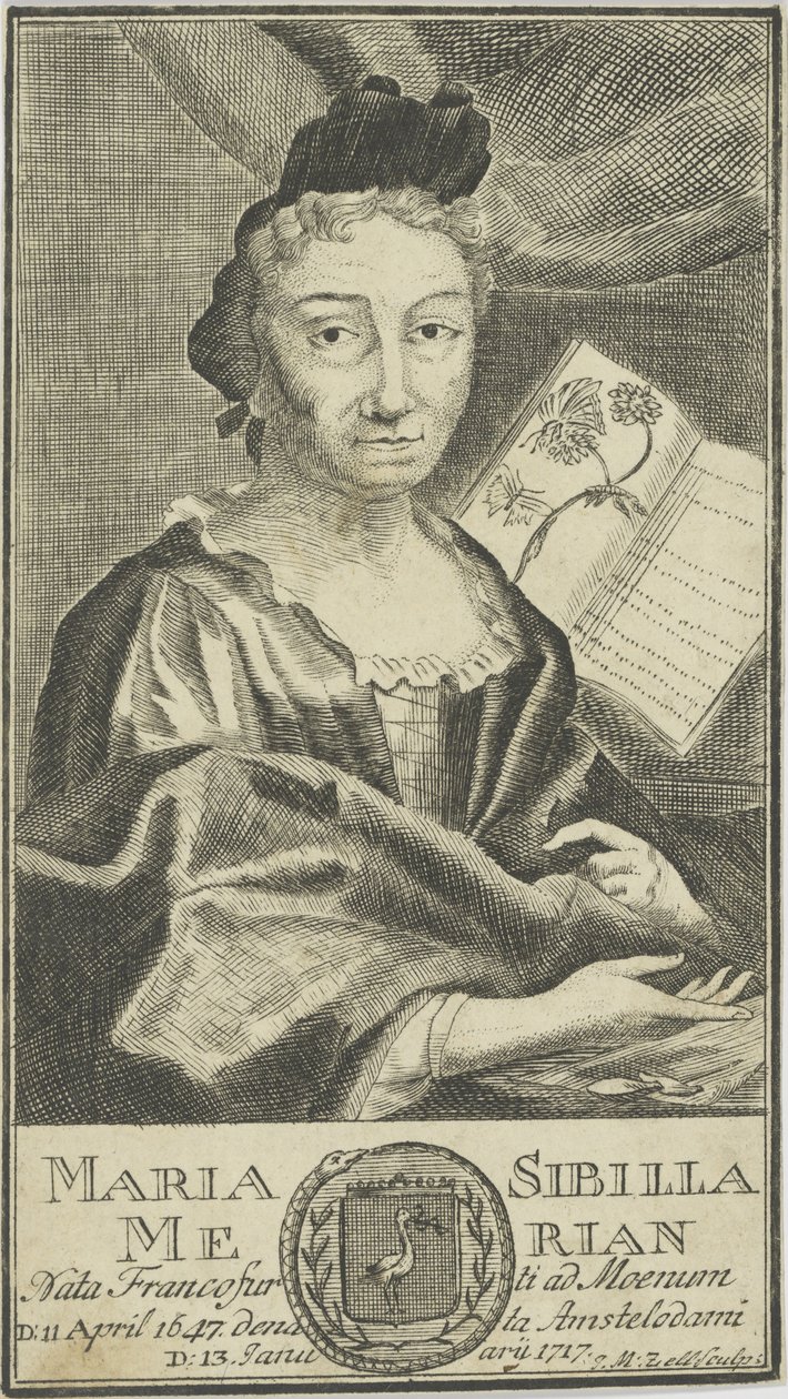 Ritratto di Maria Sibylla Merian da Unbekannt