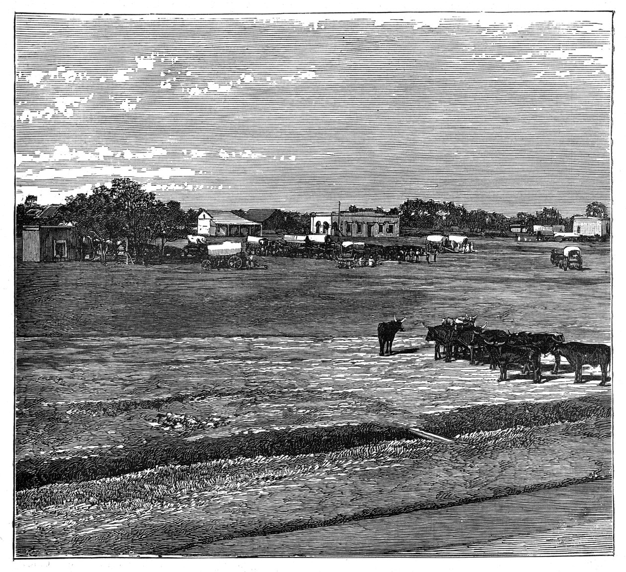 Potchefstroom, il Transvaal, Sudafrica, c1890 da Unbekannt