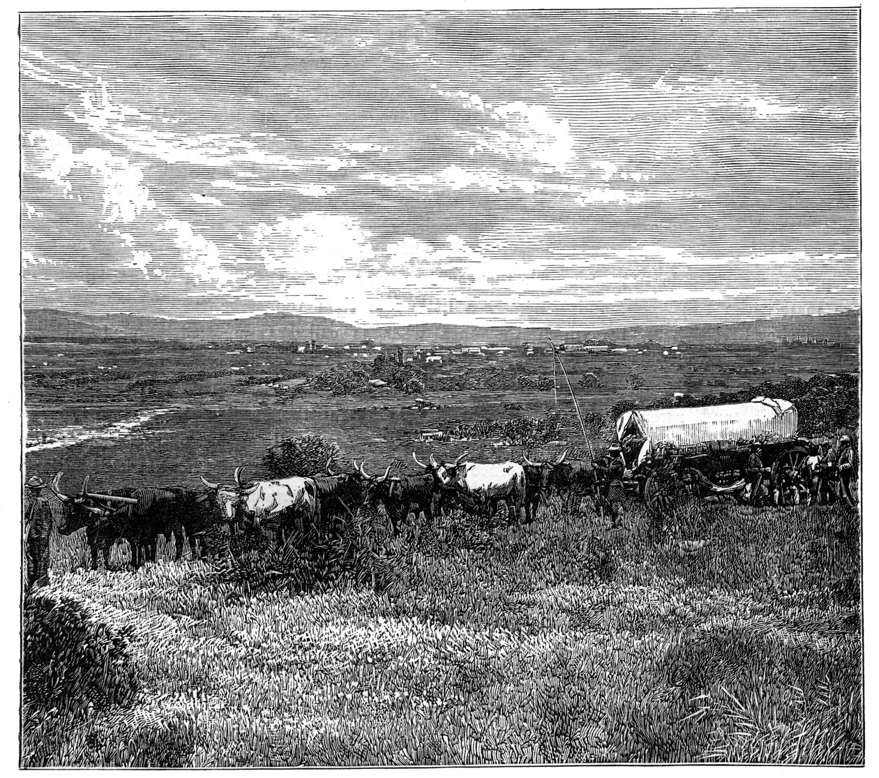 Pretoria, Sud Africa, c1890 da Unbekannt
