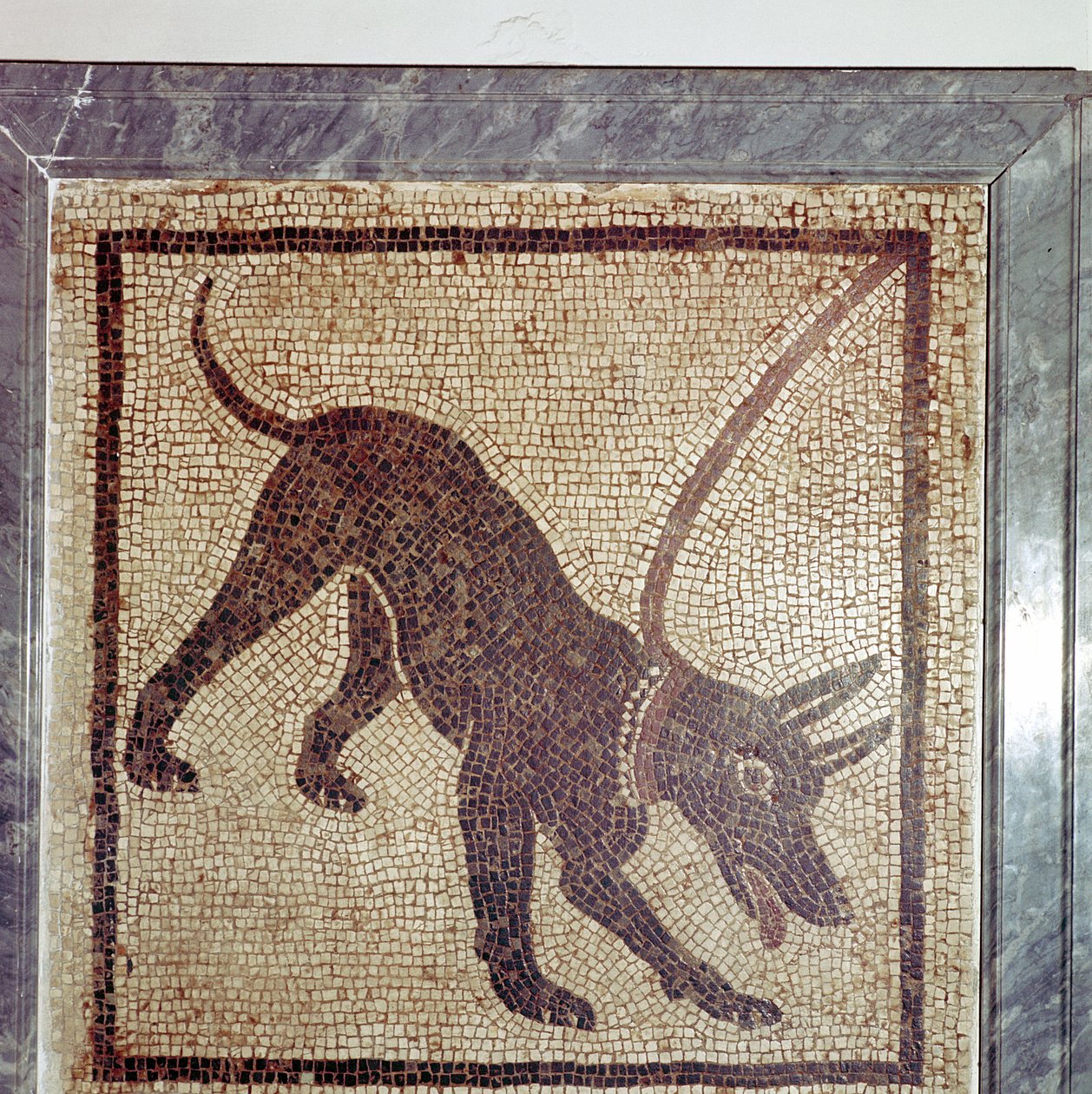 Mosaico romano di cane, Cave Canem, Pompei, Italia da Unbekannt